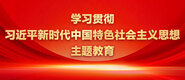 男的把女的操的流水学习贯彻习近平新时代中国特色社会主义思想主题教育_fororder_ad-371X160(2)